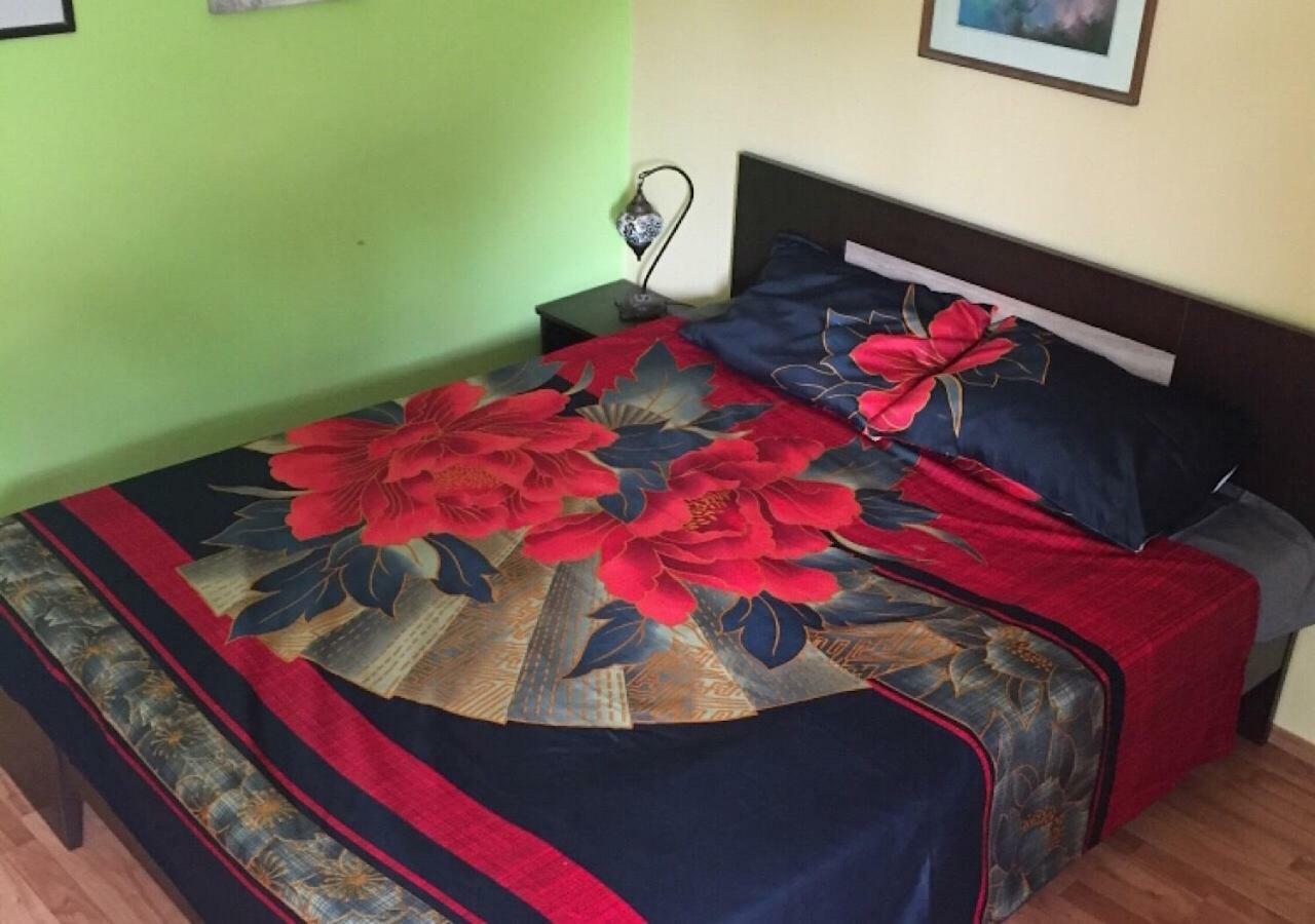 Dusica Apartmani ياغودينا المظهر الخارجي الصورة
