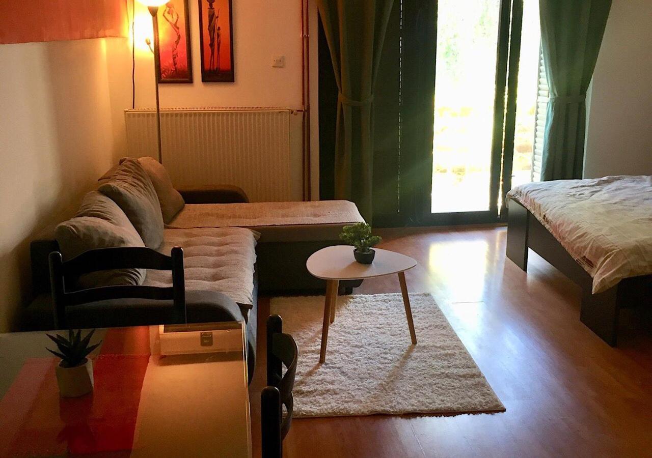 Dusica Apartmani ياغودينا المظهر الخارجي الصورة
