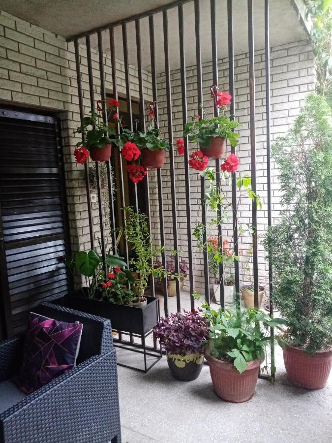 Dusica Apartmani ياغودينا المظهر الخارجي الصورة